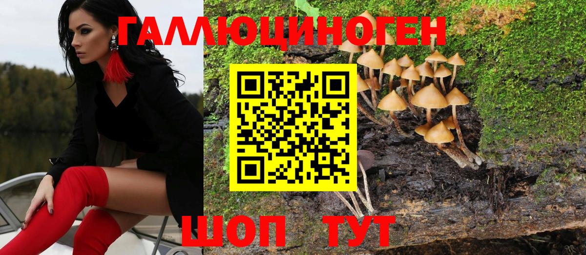 Псилоцибиновые грибы MAGIC MUSHROOMS Белорецк