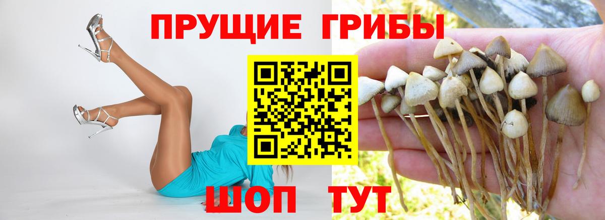 Галлюциногенные грибы мицелий  где продают   Белорецк  Вход с VPN 